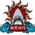 白鲨格斗暑期招生
