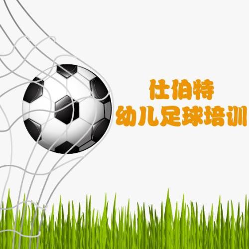 天河区前进村幼儿园-仕伯特李铁幼儿足球教育
