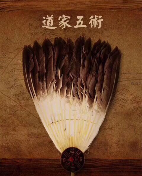 玄学界奇门泰斗受邀潍坊《天师道场》公开课堂