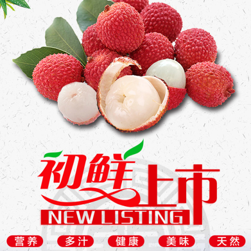 新鲜荔枝—宗林礼品店