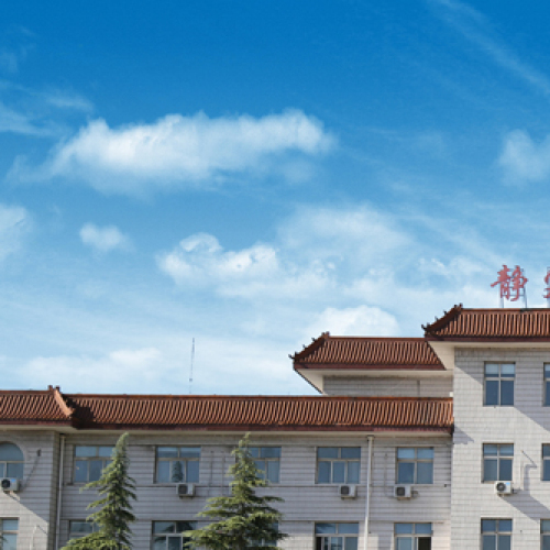 最美德龙