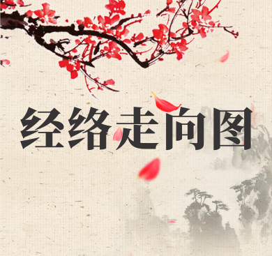 经络走向