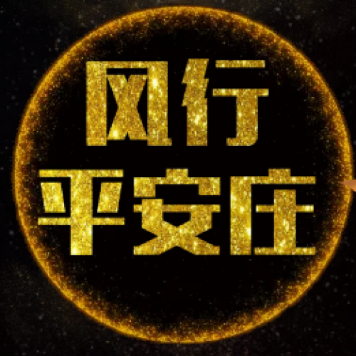 风行平安庄汽车座垫