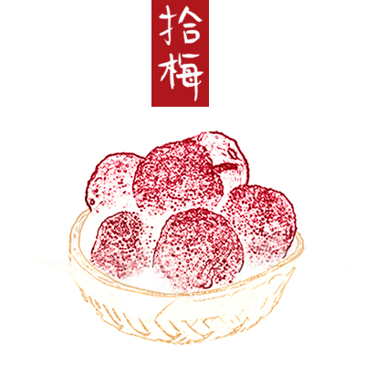 靖州杨梅不期而遇