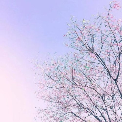 导师**武复赛，资阳中支优秀导师们来啦