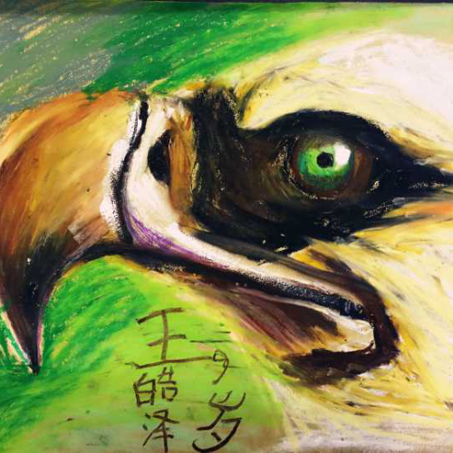 合作方案