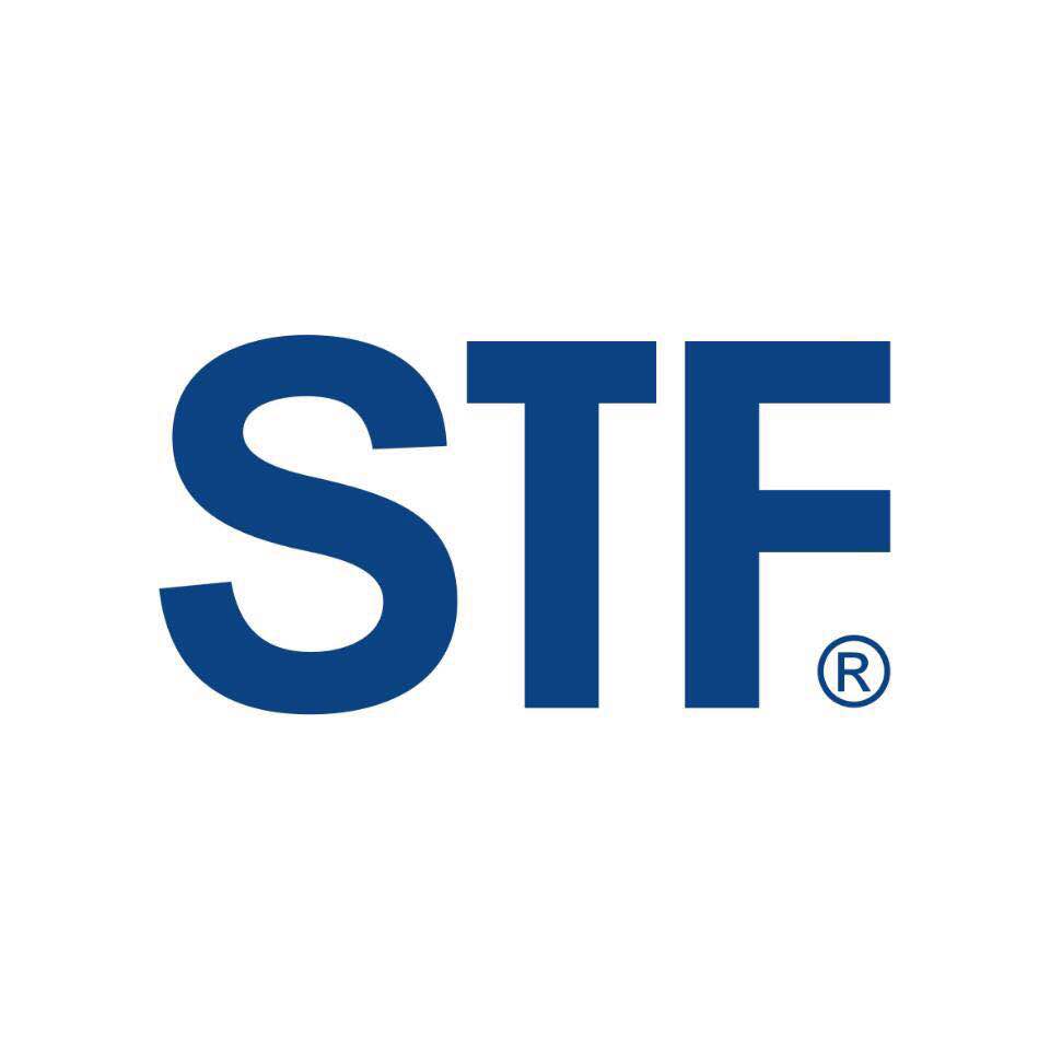 STF教师团队精英人才