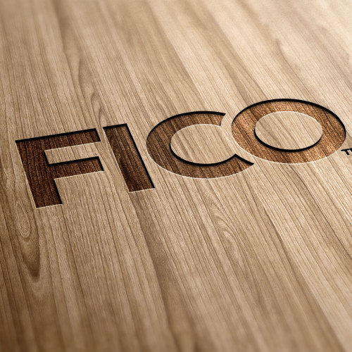 2018年FICO未来催收论坛邀请函