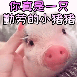 作业