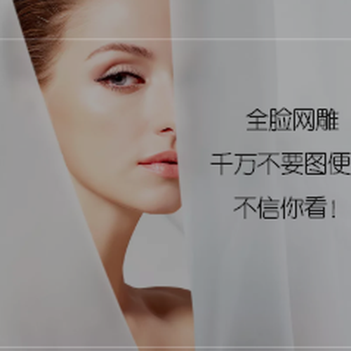 全脸网雕