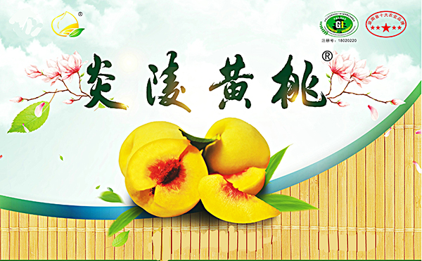 上新 | 等了一年，超高人气的炎陵黄桃预售开抢啦！！！