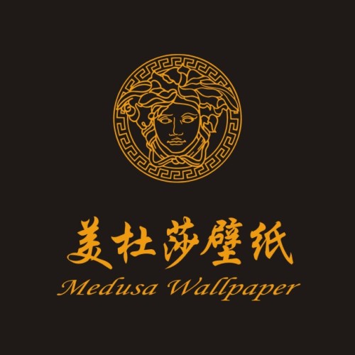 美杜莎壁纸-现代简约风-MA