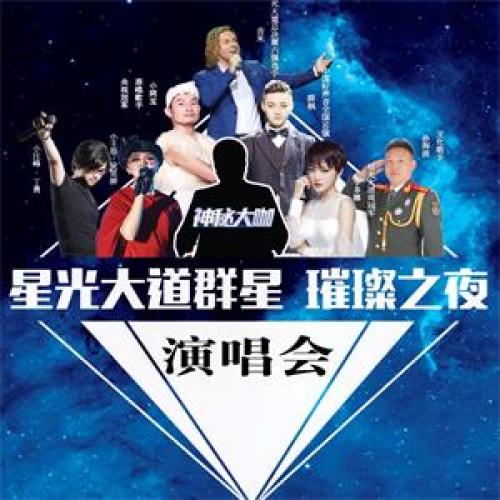 惊艳大美东阿星光大道群星璀璨之夜演唱会