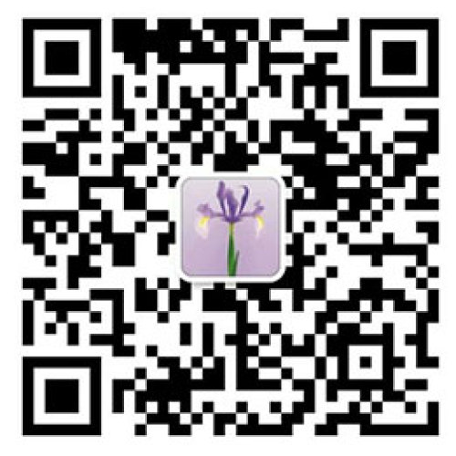 免费送林志玲同款太阳镜