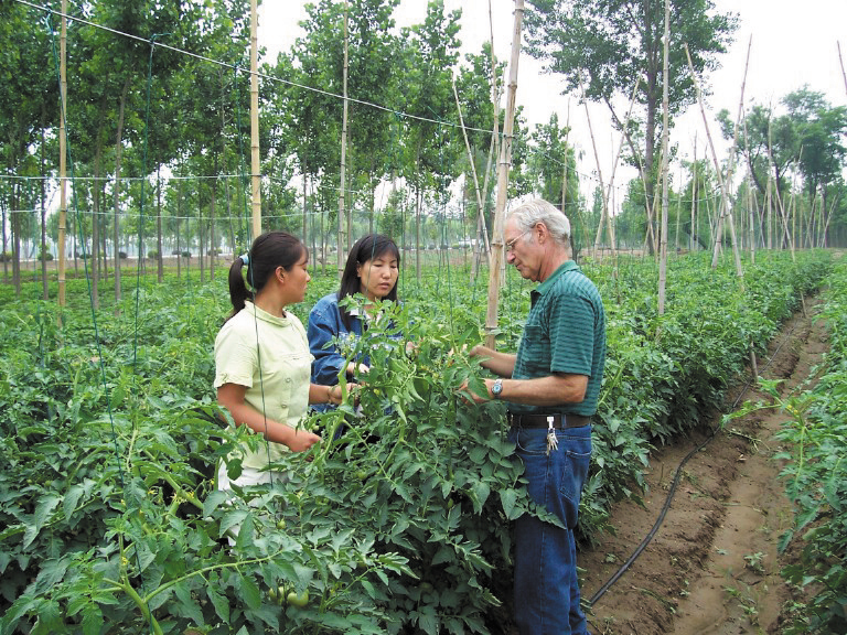 专心做蔬菜，一心为客户