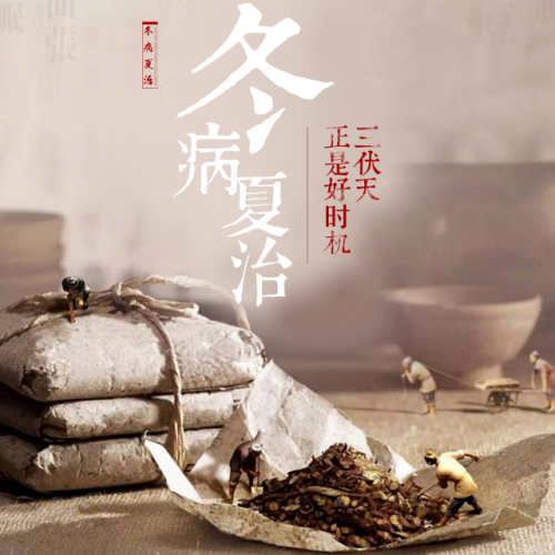 冬病夏治