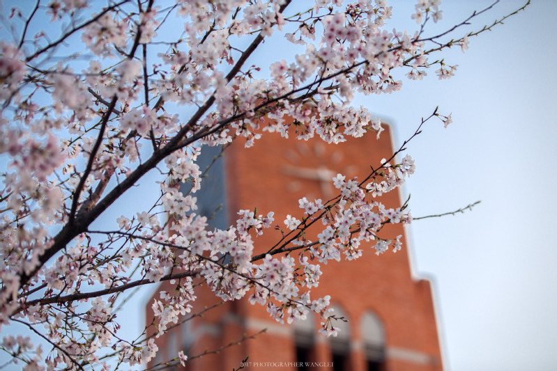 浙大土木工程卓越工程师计划