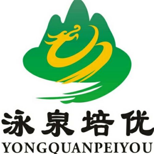 涌泉书院全托班招生