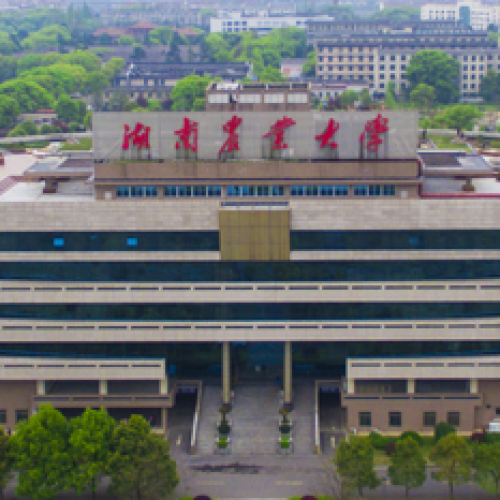 学历提升计划