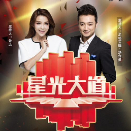 CCTV《星光大道》河南地区赛事启动