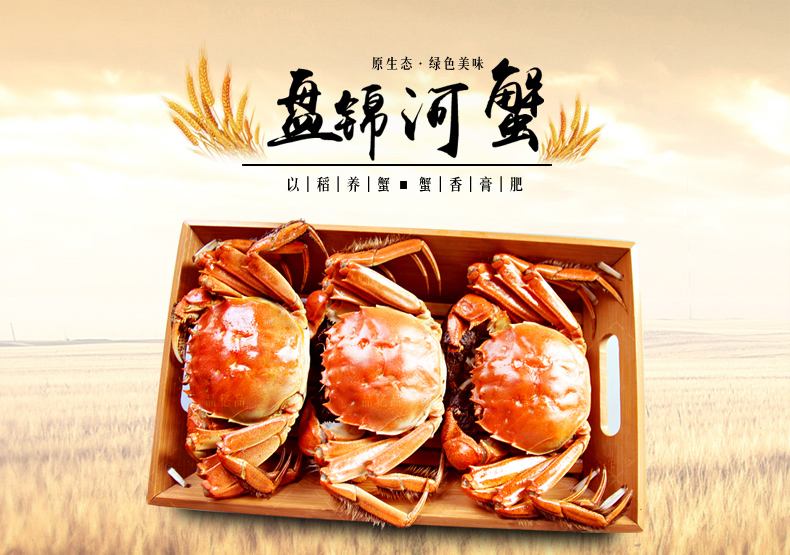 盘锦河蟹 中秋节促销 欲购从速
