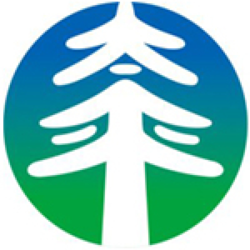 太平金服简介（外部）