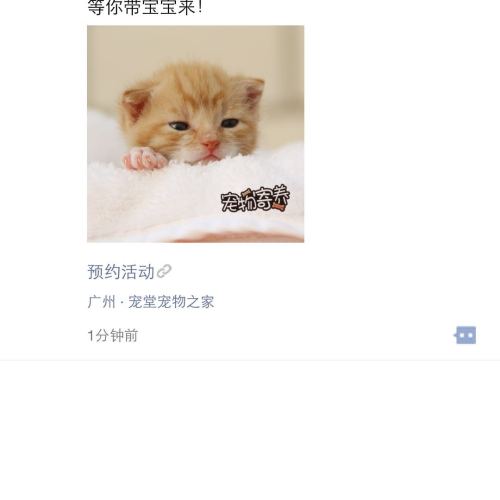 广州宠堂宠物之家