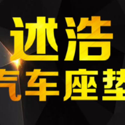 述浩汽车座垫
