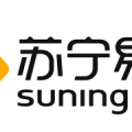 苏宁易购财务分析
